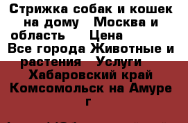 Стрижка собак и кошек на дому.  Москва и область.  › Цена ­ 1 200 - Все города Животные и растения » Услуги   . Хабаровский край,Комсомольск-на-Амуре г.